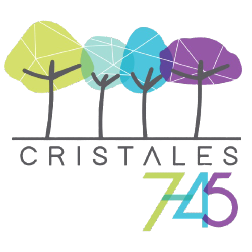 1. Cristales Carvajal constructores (1)